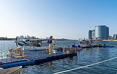 《艾尔登法环》指南区评分最高文章是一篇足控攻略