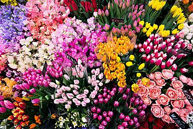 《最终幻想14》制作人对服务器拥堵再次致歉 赠送14天游戏时间